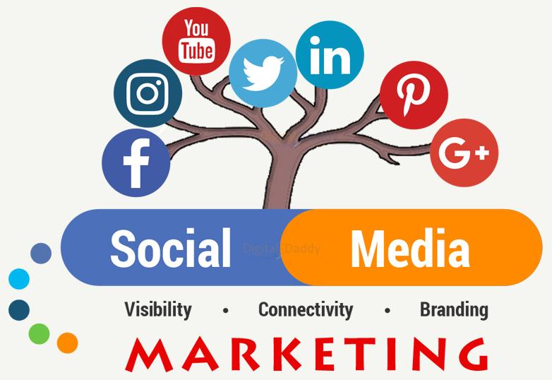 social media Marketing course in Mumbai - Mediamitra